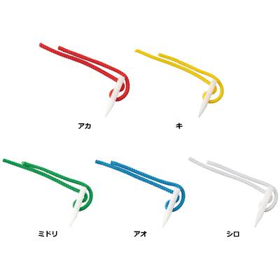 エバニュー EVERNEW 自然に還るグラウンドポイント（10本入り） EKA156