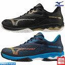 ソフトテニス シューズ ミズノ MIZUNO ウエーブエクシ