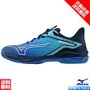 ソフトテニスシューズ サイズ交換往復無料 ソフトテニス シューズ ミズノ MIZUNO ウエーブエクシードツアー 6 OC 61GB2472 2E クレー・砂入...