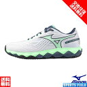 ソフトテニスシューズ サイズ交換往復無料 ソフトテニス シューズ ミズノ MIZUNO ウエーブエンフォースツアー2OC クレー・砂入り人工芝用 61GB250...