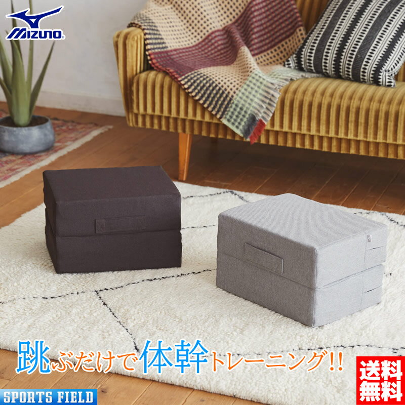 【送料無料】ミズノ トランポリン ラパン C3JHI109 跳ぶだけで体幹トレーニング 耐荷重100kg フィットネス トレーニング エクササイズ MIZUNO