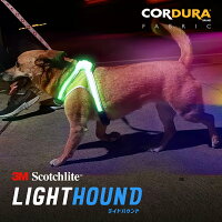 犬用 ハーネス LED 光る 夜間 散歩 雨天使用可能 水洗い 洗える 耐久性 ライトハウンド LIGHTHOUND マルチカラー 小型犬 中型犬 大型犬 イルミネーション モード 搭載 軽い 視認性 抜群 noxgear ノックスギア 正規代理店品