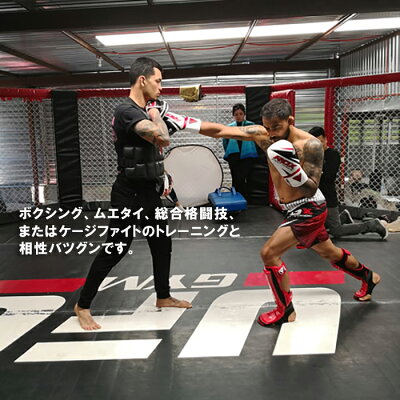 送料無料RDXボクシングトレーニングパンチングミット2個セット手のひらサイズオープンフィンガー指が出るタイプ軽い小さいミット打ちボクササイズ総合格闘技MMAムエタイ通気性練習用ケージファイトエクササイズフィットネス上級者オシャレ空手正規品