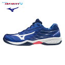 mizuno(ミズノ)! バドミントンシューズ 『WAVECLAW SPECIAL EDITION』<71GA191520>