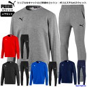 プーマ スウェット 上下 メンズ トレーニングウェア クルーネック 丸首 TEAMGOAL23 656969 656975 ストレッチ 上下セット PUMA セットアップ ズボン パンツ ウェア スポーツ 運動 ジム ランニング スポーツウェア ウエア スエット