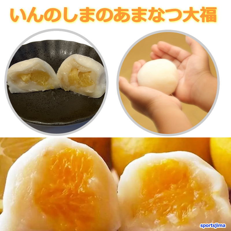 あまなつ大福 6個入り あまなつ 産地 瀬戸内 しまなみ海道 広島県 尾道市 因島 はっさく工房 まつうら 甘夏 大福 化粧箱入り 限定 だいふく おいしい いんのしま 旬 ブランド お土産 スイーツ 柑橘 新鮮 フレッシュ 贈り物 きれい 果物のサムネイル