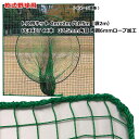 打撃練習用品 野球 トスネット 軟式野球 少年野球 一般野球 野球部 ソフトボール 日本製 本格的 ティーバッティンング ネット 軟式 2m×2m 本格 丈夫 耐久 屋外 屋内 兼用 練習