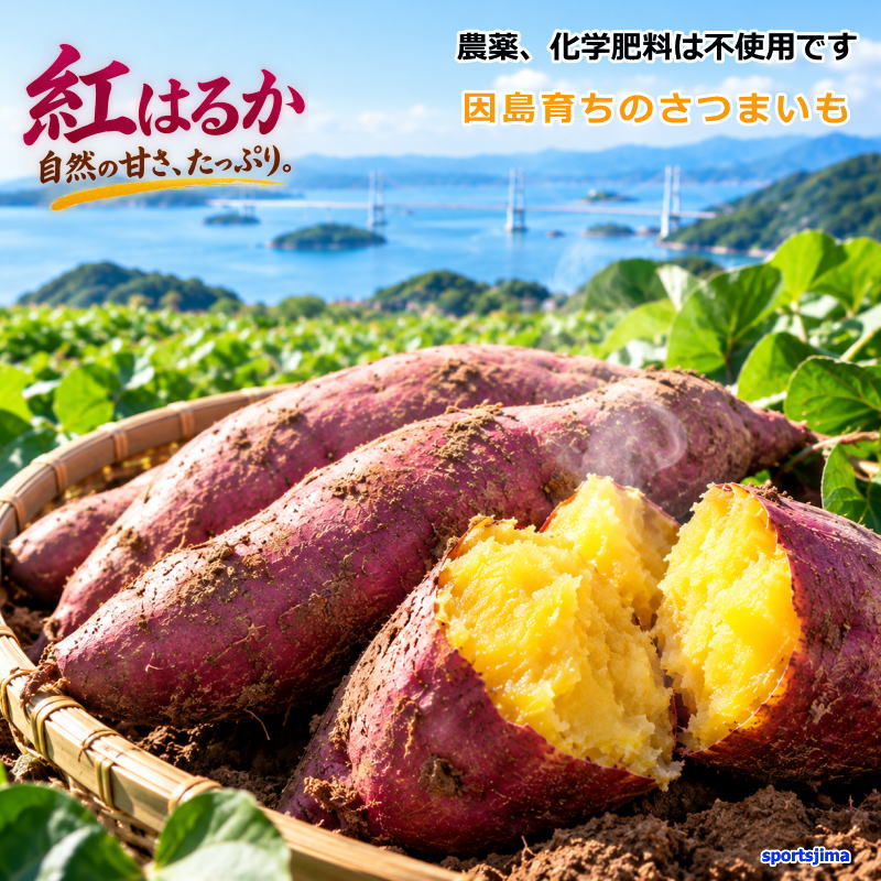 楽天市場】紅はるか 無農薬の通販