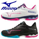 ミズノ テニスシューズ ウエーブエクシード ツアー ライト LIGHT 2 OC MIZUNO クレー 砂入人工芝コート用 61GB2317 メンズ ユニセック...
