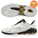ミズノ テニスシューズ ウエーブエクシード ツアー ライト LIGHT 2 SW OC MIZUNO クレー 砂入人工芝コート用 61GB231909 超幅広 ...