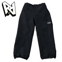 ダブルエー AA スノーボードウェア 717 Pants Black 23/24 パンツ メンズ 送料無料