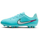ポイント10倍 ナイキ サッカースパイク ジュニア レジェンド 10 アカデミー HG NIKE 子供 DV4349-401