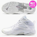 ミズノ フィットネスシューズ ウェーブダイバース LG 5 ワイド MIZUNO ダンス エアロビ 幅広 WIDE 31GF2572