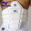 MIZUNO ミズノ 空手 プロテクター 胴 全日本空手道連盟 検定品