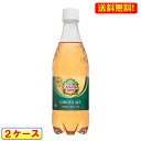 送料無料 カナダドライジンジャーエール 500mL PET 24本入 2ケース