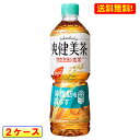 送料無料 爽健美茶 健康素材の麦茶 600mL PET 24本入 2ケース