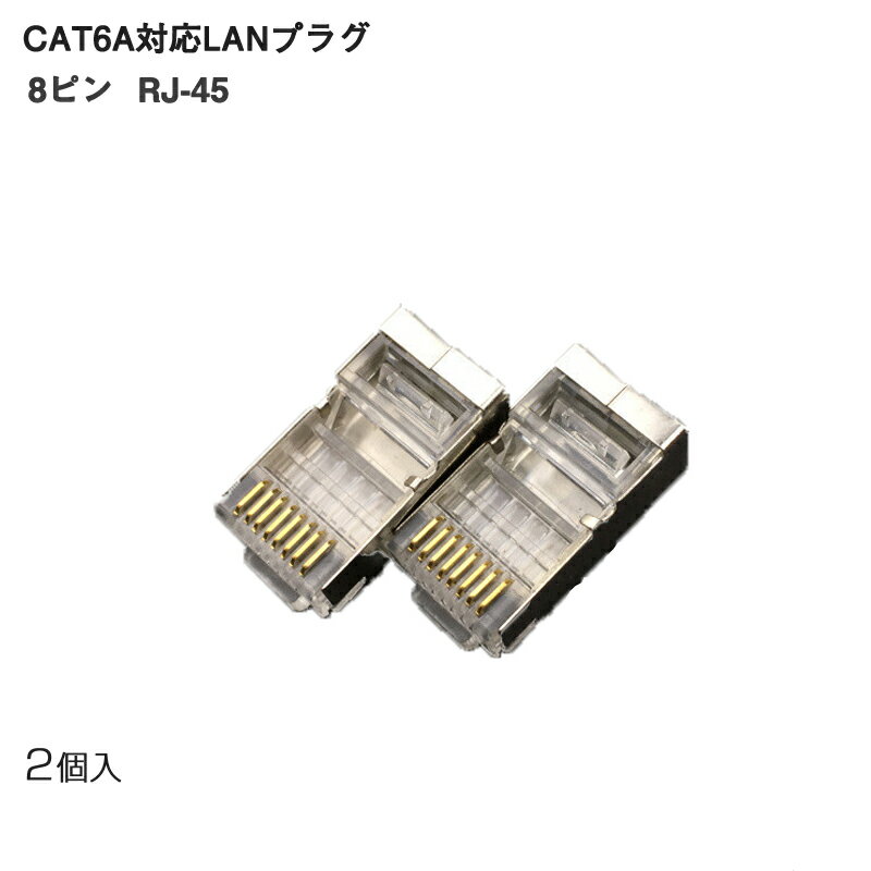 LANプラグ 2個セット 透明 RJ45 金属カバー アダプ