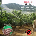 sportslife2022:10000843のサンプル画像2