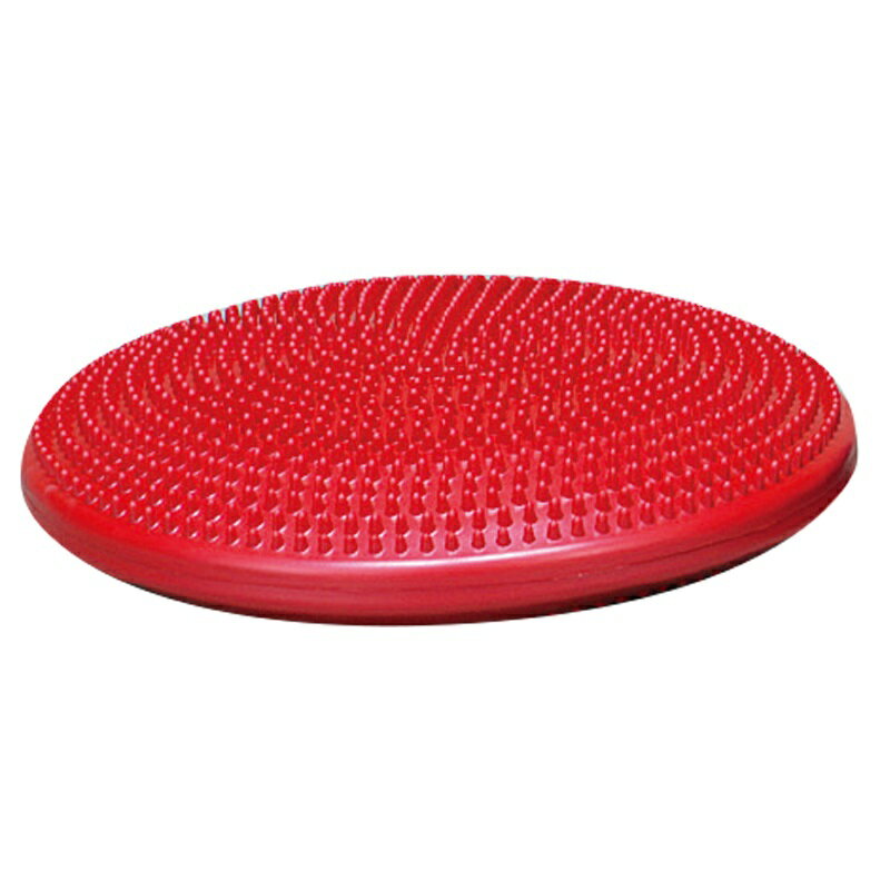 エバニュー EVERNEW ETB616 バランスクッション 赤