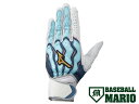 ミズノ MIZUNO ミズノプロ モーションアークSF 2023ミズノセレクションモデル バッティング手袋 両手用 一般 野球 バッティング手袋 1EJEA52321