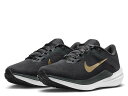 iCL NIKE AIR WINFLO 10 GA EBt[ 10 fB[X O[ X|[c jOV[Y V[ DV4023005