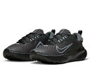 iCL NIKE JUNIPER TRAIL 2 GORE-TEX Wjp[ gC 2 GTX fB[X ubN  h gC SAebNX X|[c jOV[Y V[ FB2065001