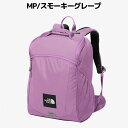 ノースフェイス THE NORTH FACE【正規取扱店】K Rectang レクタング 17L キッズ オールシーズン ブラック ネイビー グリーン ネイビー パープル オレンジ ベージュ カジュアル バッグ リュック 中型 デイパック NMJ72359 K MP NT UN OV UO YC 3