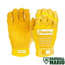 フランクリン Franklin CFX PRO HI-LITE BATTING GLOVES ハイライト バッティンググラブ 両手用 イエロー 一般 野球 バッティング手袋 バッティンググローブ バッテ 練習 試合 20895