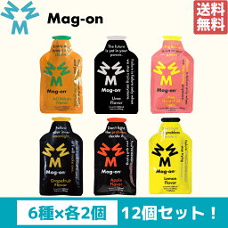 【色んな味お試しセット！】マグオン MAG-ON エナジージェル 各種2個入り 12個セット スポーツ トレーニング 梅 ピンクグレープフルーツ レモン アップル グレープフルーツ 青ミカン 栄養補給 補給食 トレーニングケア マグネシウム エネルギー エナジージェル