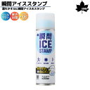 ロゴス LOGOS 瞬間アイススタンプ 300ml 氷点下パック 保冷グッズ アウトドア スポーツ 小物 保冷 冷却タオル 81336860