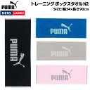 プーマ PUMA トレーニング ボックスタオル N2 メンズ レディース ユニセックス ブラック ブルー グレー ピンク スポーツ 小物 トレーニング タオル ...