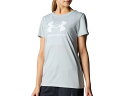アンダーアーマー UNDER ARMOUR UAテック ビッグロゴ ショートスリーブ Tシャツ レディース 春 夏 グレー 灰色 スポーツ フィットネス 半袖 Tシャツ 6001334-011(4)