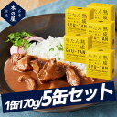 【まとめ買いがお得!】木の屋石巻水産 牛タンの粗挽きスパイスカレー煮込み缶5缶セット 缶詰 アウトドア キャンプ 登山 震災 災害 防災 遭難 備蓄 ローリング...