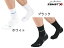 【ポイント10倍】 ザムスト:【メンズ&レディース】HA-1レギュラー【ZAMST スポーツ ソックス 靴下】【あす楽_土曜営業】【あす楽_日曜営業】 【0803】【191013】