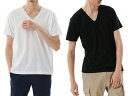 ヘインズ:【メンズ】2枚組 ジャパンフィット VネックTシャツ 5.3oz【Hanes カジュアル シャツ Tシャツ】【あす楽_土曜営業】【あす楽_日曜営業】 【191013】