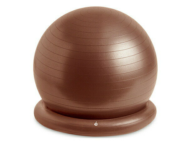 エルガム：腰にイイス 55cm【erugam トレーニング フィットネス バランスボール】