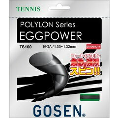 ゴーセン GOSEN EGGPOWER 16 テニス 硬式ガット TS100BK