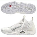 ミズノ MIZUNO ウエーブモーメンタム 3 MID(ユニセックス)バレーボールシューズ V1GA2317-51