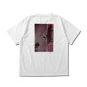 【 SALE 】アクター AKTR DRYTECH NEO-POP PHOTO TEE バスケットボール メンズウェア 124-023005-wh