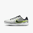 ナイキ NIKE ジュニア ティエンポ レジェンド 10 アカデミー TF サッカー ターフ / トレーニングシューズ DV4351-001