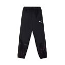プーマ PUMA チームファイナル ウラトリコット ピステパンツ サッカー トレーニングウェア 659744-03