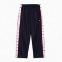 プーマ PUMA メンズ トレーニング シャドウ ストライプ ニット パンツ 527755-06(4)