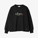 コロンビア Columbia ジプシーバーズロングスリーブクルー 長袖 ウィメンズ PL6018-010
