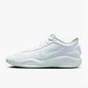 【GW特別価格 5月6日 15時59分まで】ナイキ NIKE G.T. ハッスル アカデミー EP バスケットボールシューズ ユニセックス FJ7808-101
