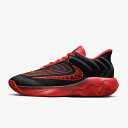ナイキ NIKE ヤニス イモータリティ 4 EP バスケットボールシューズ メンズ FQ3681-004