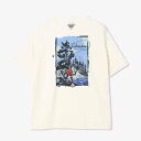 コロンビア Columbia バーンノベルグラフィックショートスリーブTシャツ ユニセックス アウトドア PM0714-125
