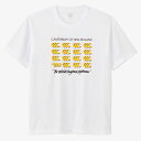 カンタベリー CANTERBURY フレックスクールコントロール Tシャツ トレーニング/ジム・カジュアル 半袖 Tシャツ ユニセックス RA325143-10