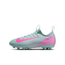 ナイキ NIKE ジュニア ズーム ヴェイパー 16 アカデミー HG サッカー スパイク FQ8407-301
