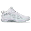 アシックス asics GELHOOP V17 EXTRA WIDE バスケットボールシューズ メンズ 1063A097-100
