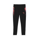 プーマ PUMA INDIVIDUALCUP トレーニング パンツ 大人用 サッカー トレーニング/プラクティスウェア 660201-07
